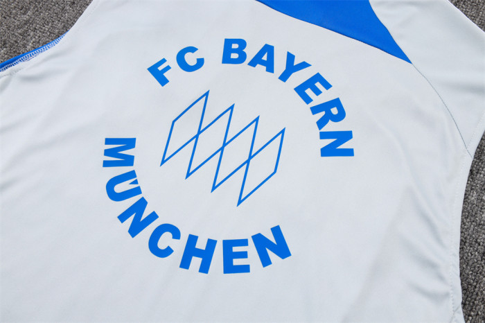 Bayern Munich Training Jersey 25/26