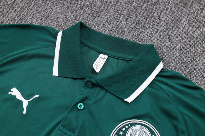 Palmeiras POLO Jersey 23/24
