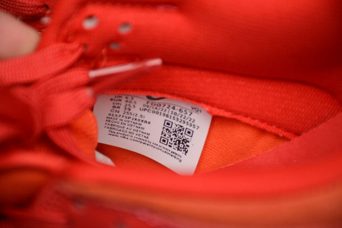 SB Dunk Low ATL FD0724-657