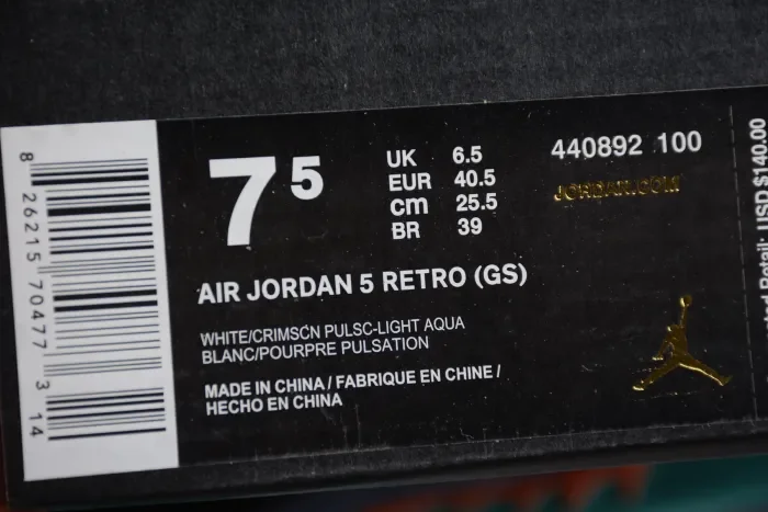 Air Jordan 5 Light Aqua 440892-100