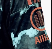 Bayern Munich Away Player Jersey 24/25