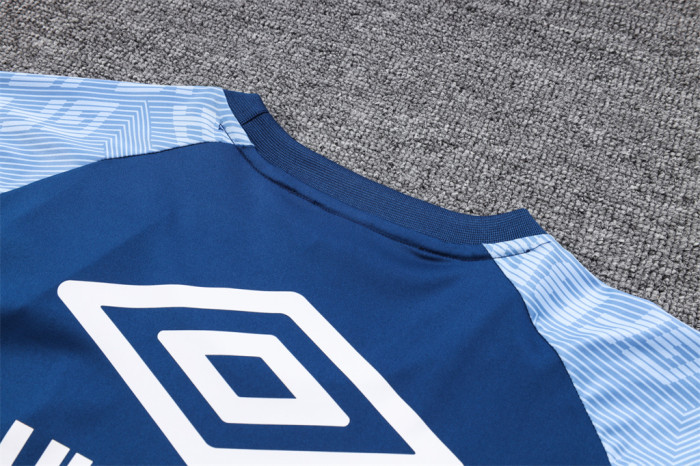 Gremio Training Jersey 23/24