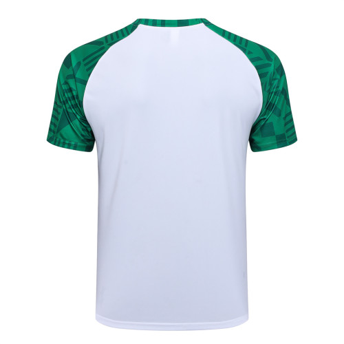 Palmeiras Training Jersey 23/24
