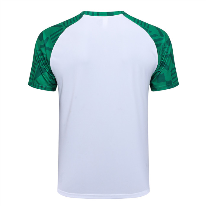 Palmeiras Training Jersey 23/24