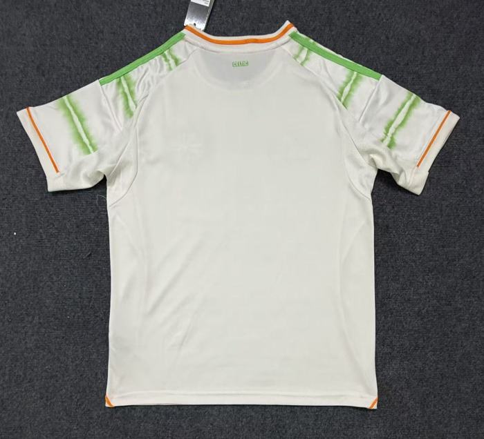 Celtic Third Men Jersey 25/26