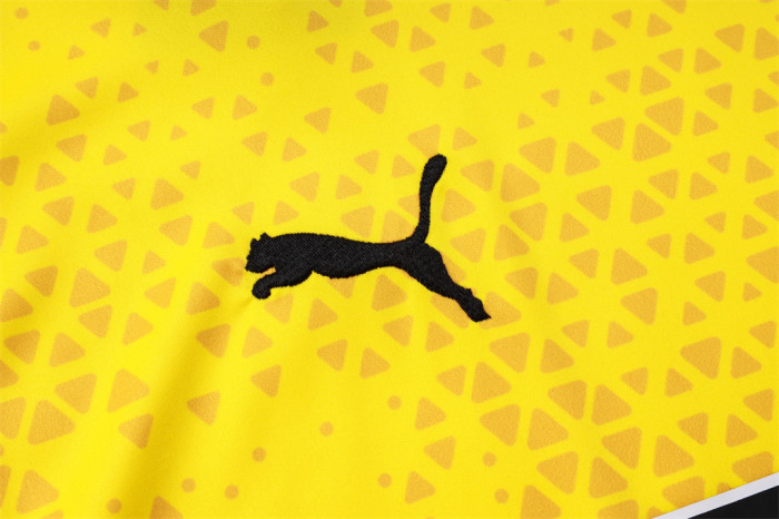 Borussia Dortmund Training Jersey 23/24