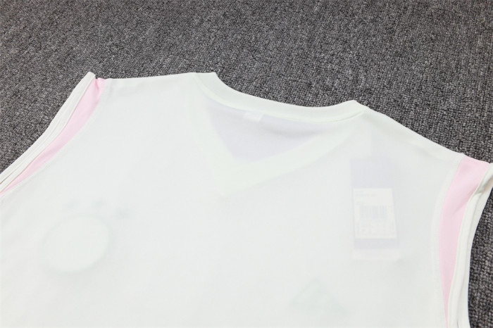 Ajax Training Jersey 23/24