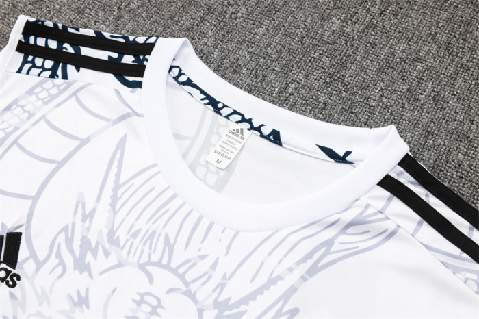 Real Madrid Training Jersey 23/24