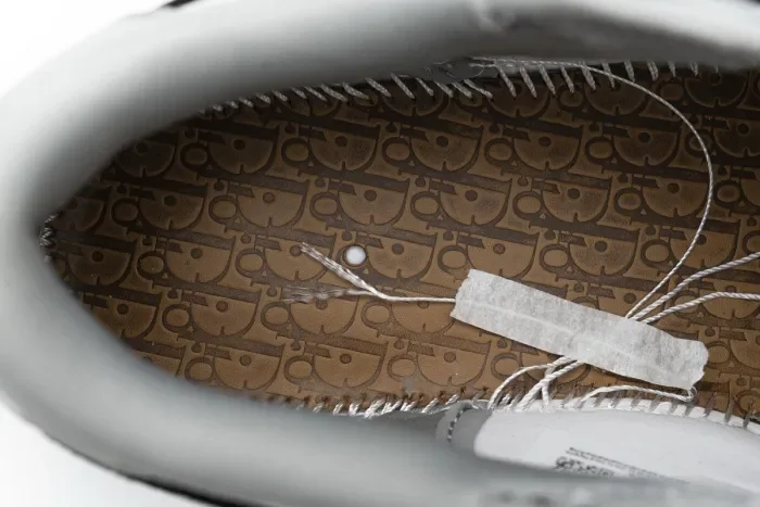 Dior x Air Jordan 1 Low 'Wolf Grey' CN8608-002