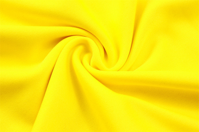 Borussia Dortmund POLO Jersey 23/24