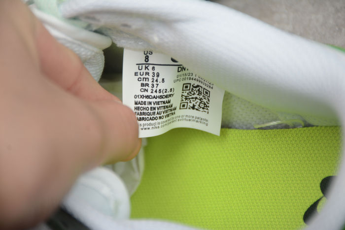 SB Dunk Low Next Nature White Mint DN1431-102