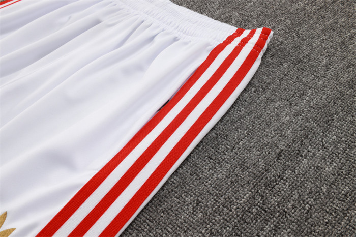 Bayern Munich Training Pants 25/26