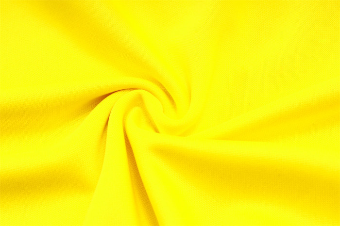 Borussia Dortmund Training Jersey Suit 23/24