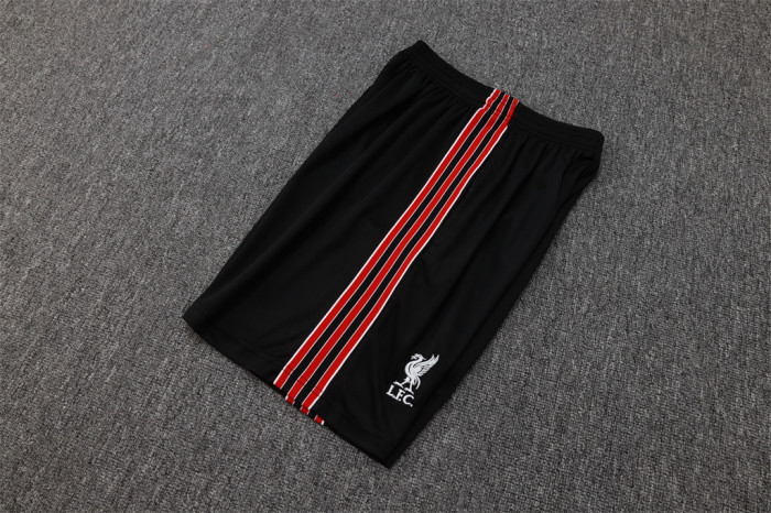 Liverpool Training Jersey 25/26