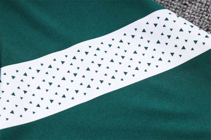 Palmeiras POLO Jersey 23/24