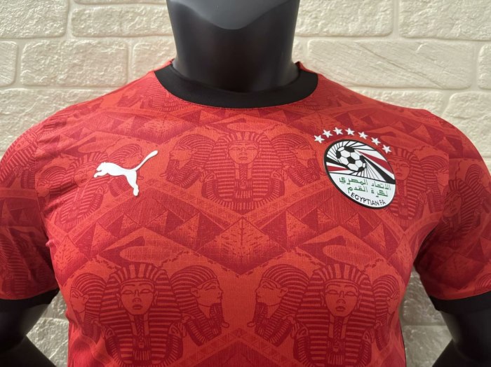 Egypt 2025 Home Player Version Man Jersey