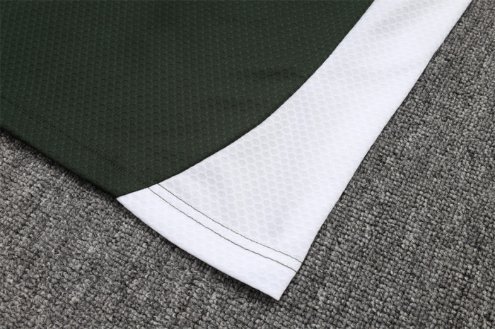 Bayern Munich POLO Jersey 25/26