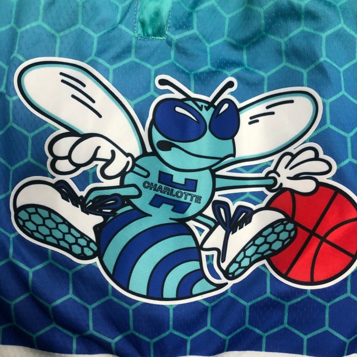 Charlotte Hornets  Basketball Shorts City Edition  21/22