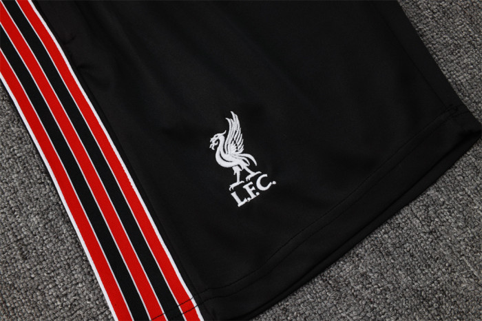 Liverpool Training Jersey 25/26