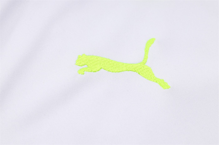 Palmeiras POLO Jersey 23/24