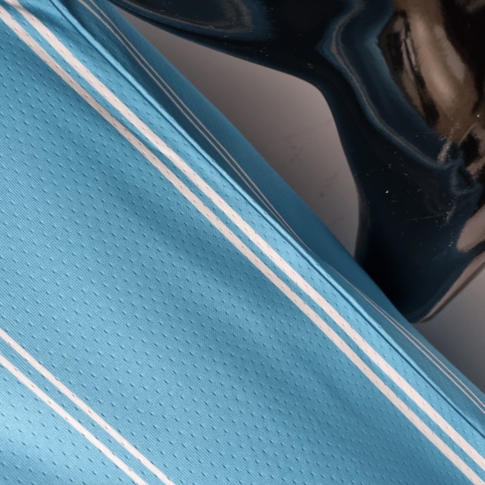 Gordon Hayward Charlotte Hornets 75th Anniversary Swingman Jersey Blue