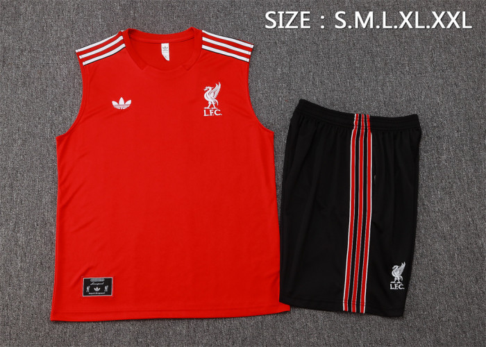 Liverpool Training Jersey 25/26