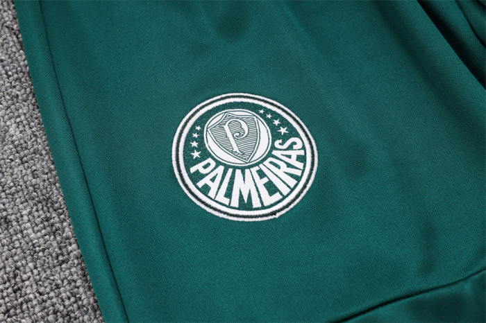Palmeiras POLO Jersey 23/24