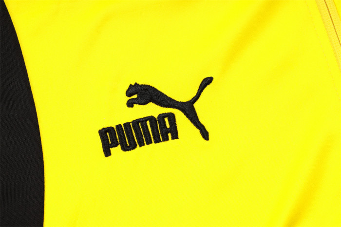 Borussia Dortmund Training Jersey Suit 23/24