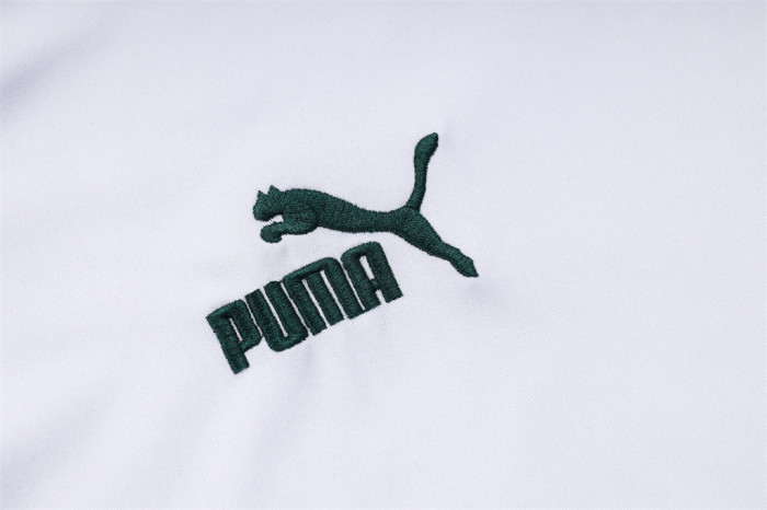 Palmeiras Training Jersey 23/24