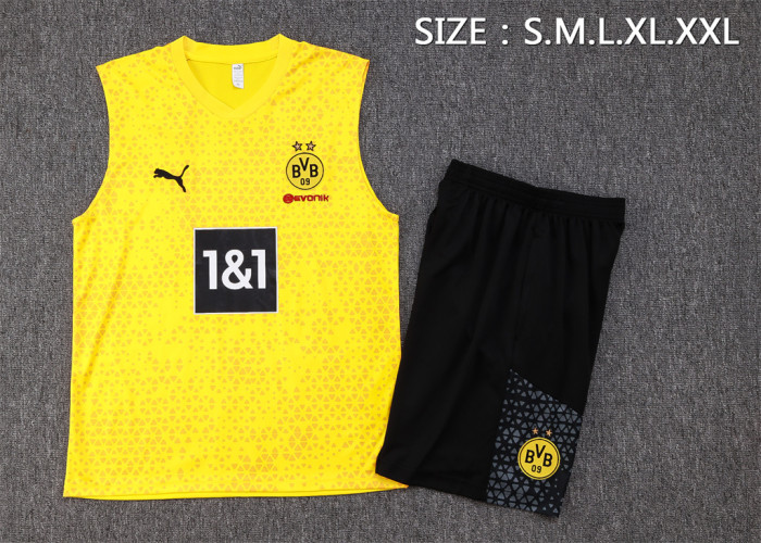Borussia Dortmund Training Jersey 23/24