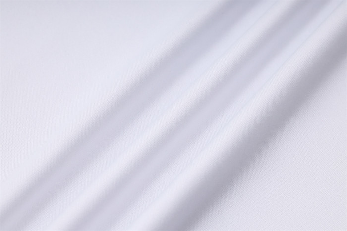 Palmeiras POLO Jersey 23/24