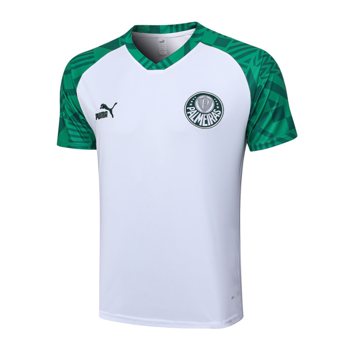 Palmeiras Training Jersey 23/24
