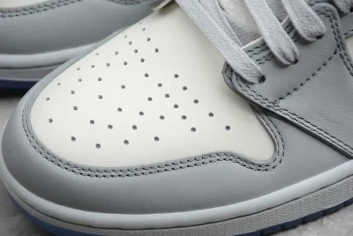 Dior x Air Jordan 1 High OG CN8607-002