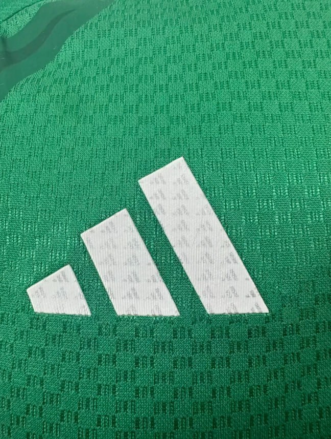 Mexico 2026 Player Green Training Men Jersey