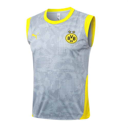 Borussia Dortmund Training Jersey 25/26