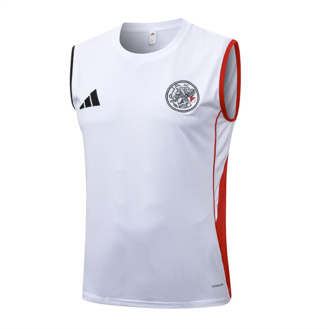 Ajax Training Jersey 25/26