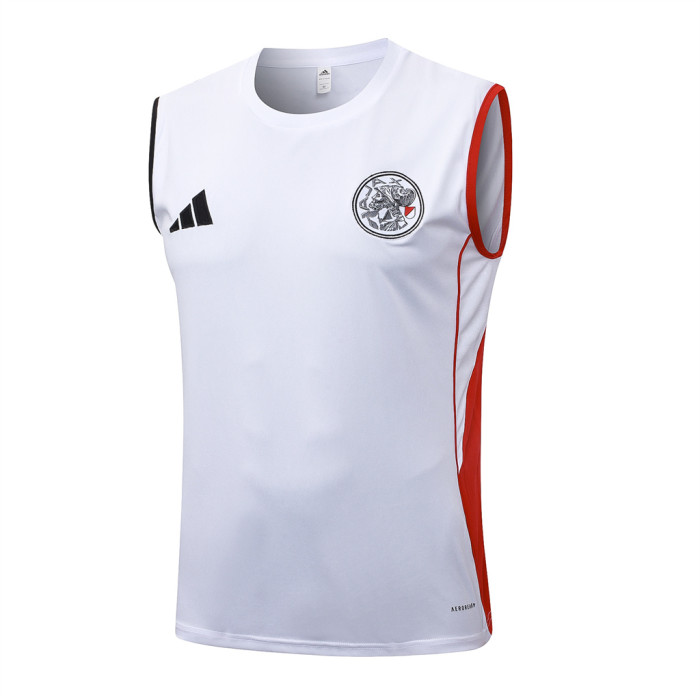 Ajax Training Jersey 25/26