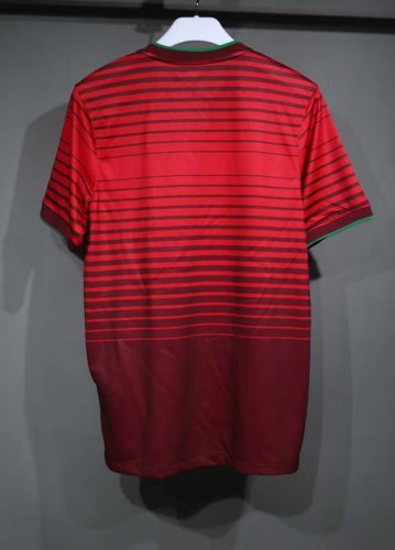 Portugal Home Player Version Retro Jersey 2014