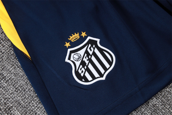 Santos Training Jersey 24/25