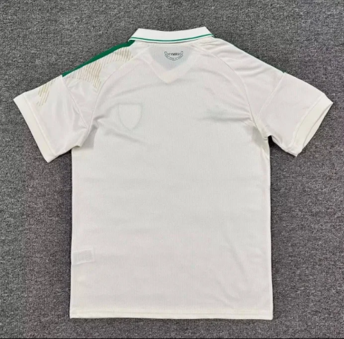 Wales 2026 World Cup Away Men Jersey