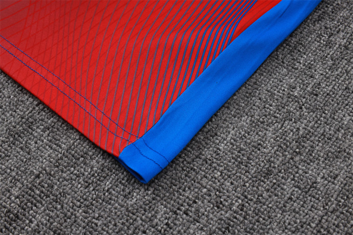 Paris Saint Germain Training Short sleeve Jersey 25/26