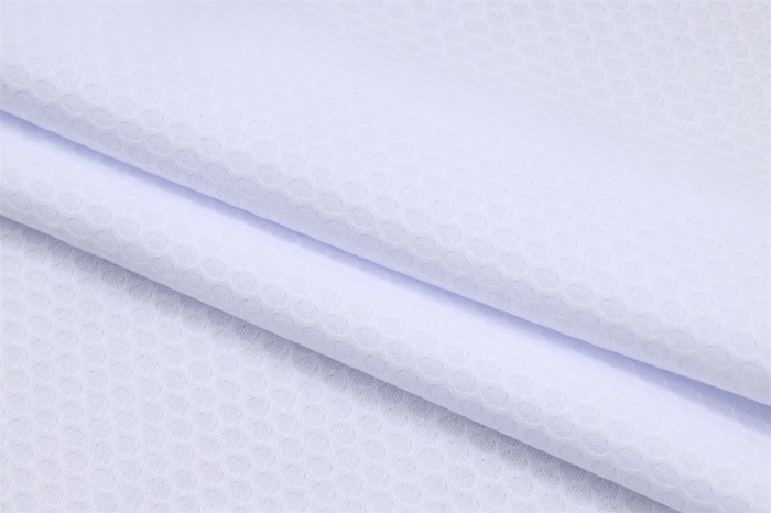 Ajax POLO Jersey 25/26