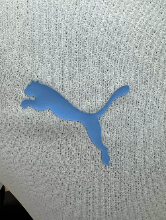 Manchester City Home Player Men Jersey 26/27