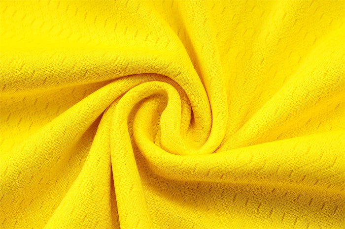 Borussia Dortmund Training Jersey Suit 25/26