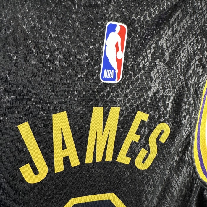 Los Angeles Lakers KIds Jersey City Edition snake pattern Black No.6 JAMES