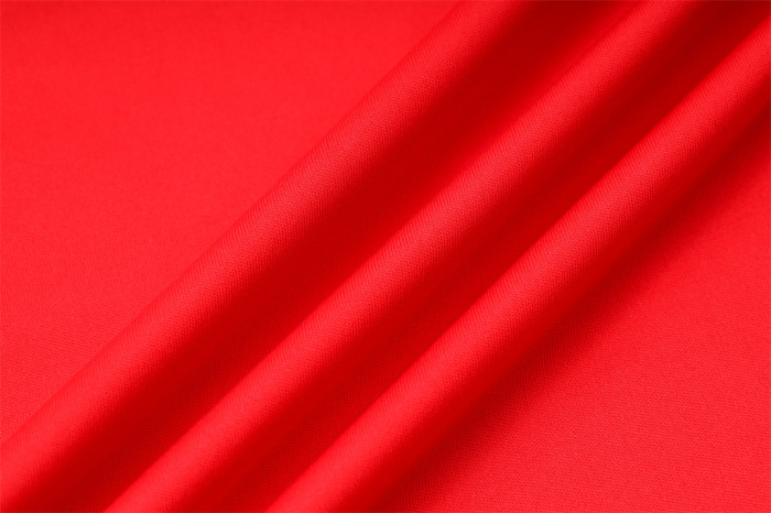 Flamengo POLO Jersey 23/24