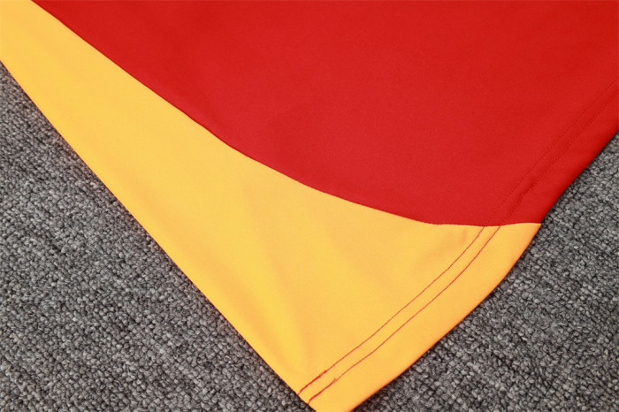 Bayern Munich POLO Jersey 24/25