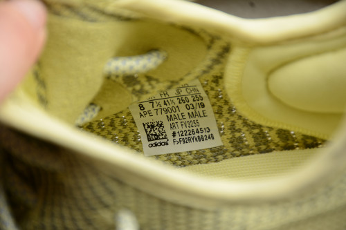 Yeezy 350 V2“Antlia ” Reflective FV3255