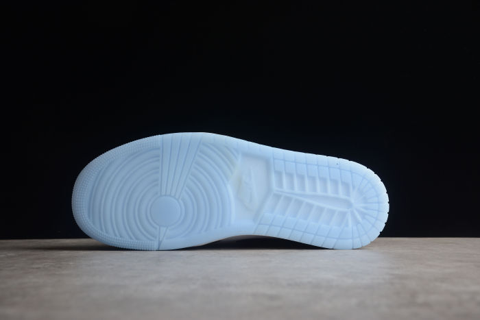 Air Jordan 1 Low SE Concord White Black DV1309-100