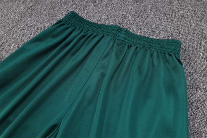 Palmeiras POLO Jersey 23/24